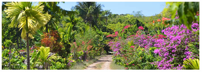 ile de Nosy Be